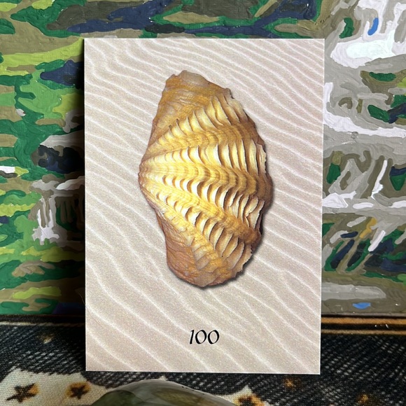 Ocean Oracle🌊🐚 - Picture 4 of 10